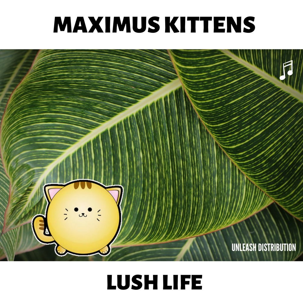 Lush Life