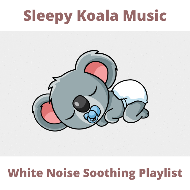 Sleepy Koala